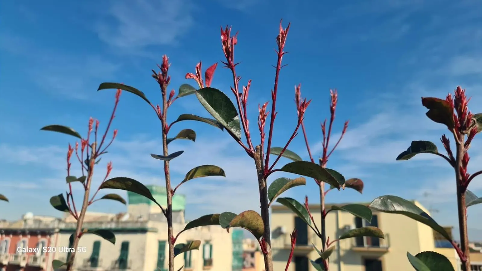 Apartment Ferienwohnung Le Terrazze Sul Vesuvio Neapel Italien