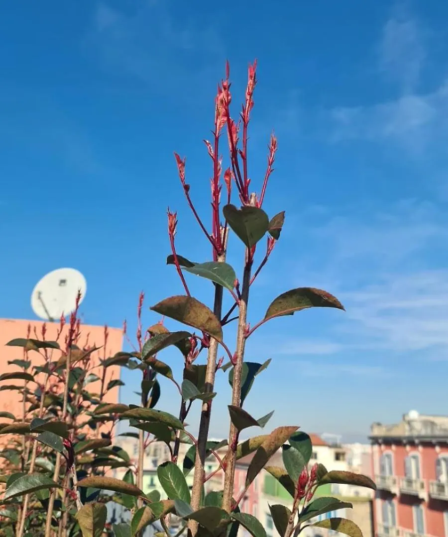Le Terrazze Sul Vesuvio Apartment Naples Italy