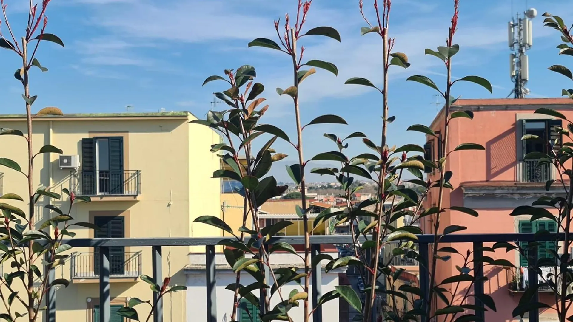Le Terrazze Sul Vesuvio Apartment Naples Italy